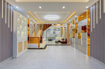 Bán Nhà Biệt Thự Mới Trung Tâm Q7 Ngang 5 Dài 12 - 3T Có 9 Đ