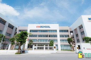 Chính Chủ Bán Căn Siêu Hiếm Tại Khu Đô Thị Timescity Có Slot Ô Tô Vĩnh Viễn Trong Hợp Đồng