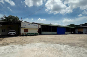 Siêu Phẩm Nhà Xưởng Long An – 8.600M², Chuyển Giao Công Ty + Dòng Tiền Sẵn