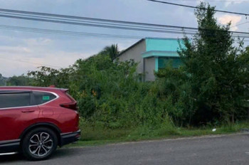 Mặt Tiền Ba Sa, Tân An Hội – Full Thổ Cư 534M² – Giá Chỉ 12,9 Triệu/m²