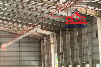 Xưởng Sản Xuất Phù Hợp Nhiều Ngành Nghề, Tiếp Nhận Linh Hoạt, Kết Cấu Kiên Cố, Giao Xưởng Liền