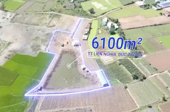 Cần Bán 6100M2 Đất Quy Hoạch Full Thổ Cư Tại Liên Nghĩa, Đức Trọng