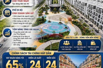 Lý Do Vlasta Thủy Nguyên Đang Nhận Được Sự Quan Tâm Lớn Từ Khách Hàng Và Nhà Đầu Tư