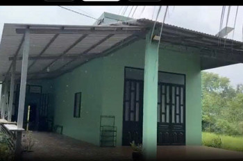 Chính Chủ Bán Hoặc Cho Thuê Nhà Vườn 1.600M² – Không Gian Xanh Lý Tưởng Cho Nghỉ Dưỡng, Làm