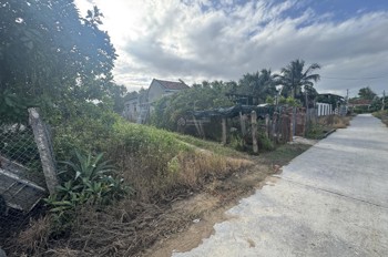 Chính Chủ Bán 231,2M2 Đất Sẵn Sổ Mặt Tiền Oto Tránh Tại Ninh Ích-Ninh An