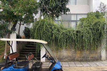 Chủ Cần Bán Gấp Villas Nghĩ Dưỡng Bảo Lộc - Cách Đồi Trà Tâm Châu Chỉ 1 Km - Chỉ 3.650 Tỉ