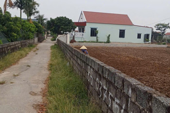 Chính Chủ Bán Đất – Lô Đầu Ve Đẹp Tại Đông Tân, Đa Lộc, Hậu Lộc, Thanh Hóa