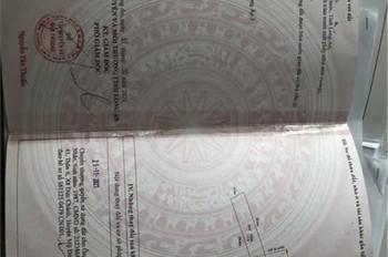 Đất Đẹp – Giá Tốt – Chính Chủ Cần Bán Đất Tại Xã Phước Đông, Huyện Cần Đước, Tỉnh Long An