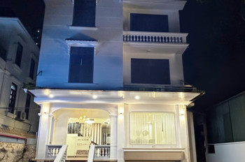 Tôi Chủ Nhà Cho Thuê Nhà, Đại La, Kim Ngưu, Vĩnh Tuy, 181M2x 3T -31 Tr