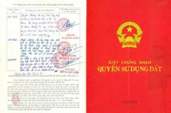 Chính Chủ, Bán Đất Vàng Trung Tâm – Cơ Hội Đầu Tư Sinh Lời Cao