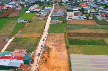 Ngõ Đồng Dao (Trục Thống Nhất Rẽ Vào), Xã Đức Trọng, Lâm Đồng