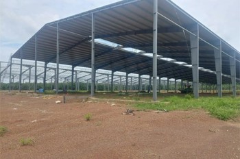 Bán Nhà Xưởng Đã Hoàn Thiện Phần Thô, Giấy Phép Đầy Đủ Chủ Trương Sx Nhiều Ngành Nghề