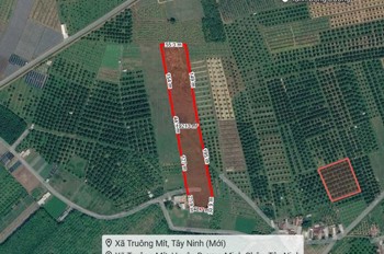 [L2682*] 1.8Ha Đất Trồng Sầu Riêng Sát Chợ Truông Mít - Giá 5.X Tỷ