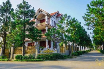Sở Hữu Biệt Thự 400M2 The Phoenix Garden Đan Phượng - Đà Lạt Thu Nhỏ Giữa Lòng Khu Tây Hà Nội