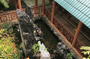 Mặt Đường Chợ Con - Hồ Sen Qũy Đất Đầy Tiềm Năng