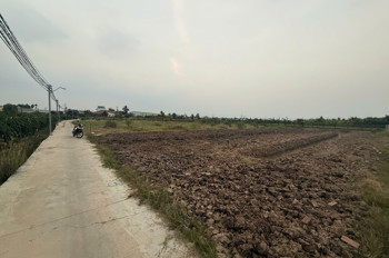 Bán 1.000M² Đất Vườn Giá Mềm – Gần Chợ Cầu Vuông - Châu Thành, Long An