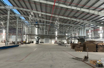Xt178 Cho Thuê Nhà Xưởng Kiên Cố, Tiếp Nhận Linh Hoạt Ngành Nghề Theo Qd Kcn. Trống Xưởng