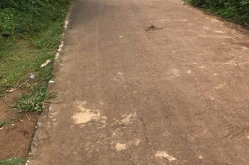 Bán Nhanh Lô Đất Phú Hội, Đức Trọng Giá Rẻ Chỉ 800 Triệu Đồng