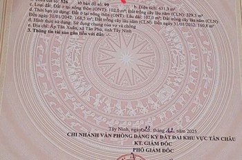 Đất Đẹp - Vị Trí Đắc Địa - Chính Chủ Bán Nhà Đất Mặt Tiền Đường Dt785 Ấp Tân Xuân, Tân Phú, Tây Ninh