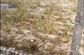 Hot Hot – Chính Chủ Cần Bán Lô Đất Tại Xã Phước Thành, Huyện Tuy Phước, Tỉnh Bình Định