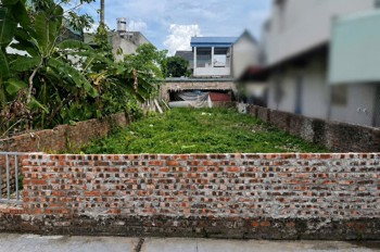 Chính Chủ Cần Bán Đất Đẹp Đạc Tài - Mai Đình: Sổ Đỏ Chính Chủ - Mặt Tiền Rộng 6,5M