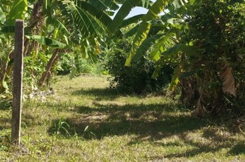 Đầu Tư Sinh Lời – Chính Chủ Cần Bán Đất Tại Xã Tân Bình, Tp Tây Ninh, Tỉnh Tây Ninh