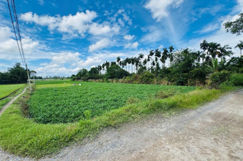 [D2707] Đất Ven Sông 4819M2 Thạnh Xuân 33 Q12 - Giá 2X Tỷ