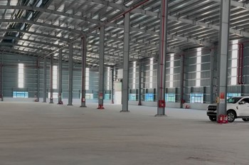Cho Thuê Xưởng Mới 100% Tại Kcn Thuận Thành 3 - Bắc Ninh (Có Xưởng 1 Tầng & 2 Tầng)