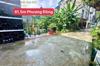 61,5M Phụng Châu-Chương Mỹ-Hà Nội