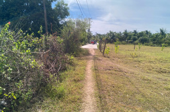 Cần Bán Đất Thôn Ninh Ích, Xã Bắc Ninh Hòa, Tỉnh Khánh Hòa