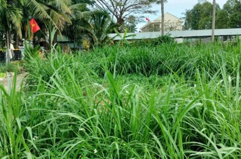 Hot Hot – Chính Chủ Cần Bán Lô Đất Góc Tại X. Hoài Sơn, Tx. Hoài Nhơn, T. Bình Định