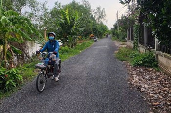 Chính Chủ Bán 3.400M² Đất Trồng Sầu Riêng Ri6 – Vườn Đang Thu Hoạch - Xã Bình Phú, Đồng Tháp