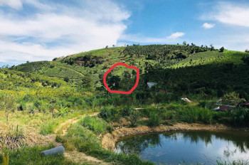 Bán Đất View Đồi – Sát Suối – Bản Bon, Bảo Lộc