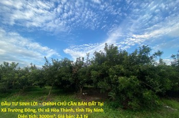 Đầu Tư Sinh Lời – Chính Chủ Cần Bán Đất Tại Xã Trường Đông, Thị Xã Hòa Thành, Tỉnh Tây Ninh