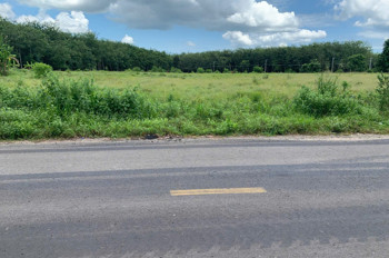 Bán Quỹ Đất 2,35 Ha Mặt Tiền Đường Nhựa – Phường Long Nguyên, Tp Hồ Chí Minh