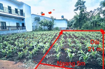 Đầu Tư Sinh Lời – Chính Chủ Cần Bán Đất Tại Phường Tân An (Trước Là Xã Eatu, Tp Buôn Mê Thuột),