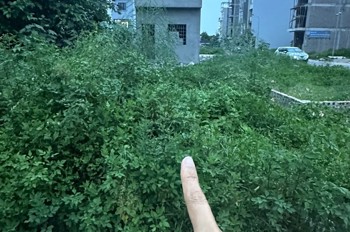Bán Đất Phân Lô Lê Hồng Phong - Vị Trí Vàng Đầu Tư