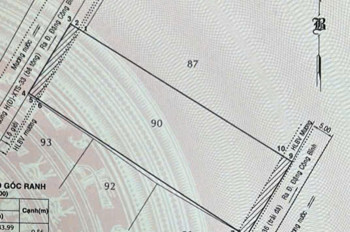 Hot! Gấp 1.181M² (20X57) Gần Vinhomes Hóc Môn Chỉ 13,99 Tỷ – Ngang 20M, 2Mt