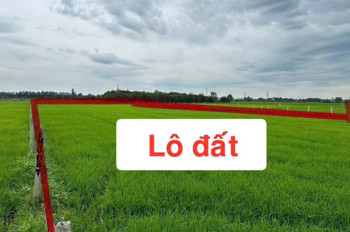 Ngộp Cắt Lỗ! 6.000M² Đất Củ Chi Chỉ 1 Triệu/m² – Giá Chốt 6 Tỷ