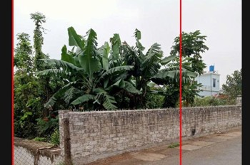 Đất Chính Chủ - Lô Góc Mặt Tiền 8M - Thôn An Ấp, Xã An Ấp, Huyện Quỳnh Phụ - Tỉnh Thái Bình