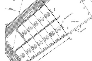 Chính Chủ Bán Lô Đất Đẹp Hưng Nghĩa 1 – Xã Lam Thành, Nghệ An