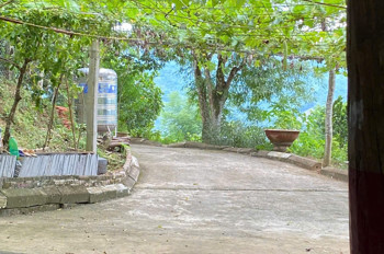 Chính Chủ Bán Gấp Trang Trại 12.415,7M² Tại Phường Thống Nhất, Tỉnh Phú Thọ – Chỉ Cách Hà Nội