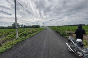 Đầu Tư Sinh Lời - Chính Chủ Bán Lô Đất Mặt Tiền Xã Hoà Hiệp, Huyện Xuyên Mộc, Brvt