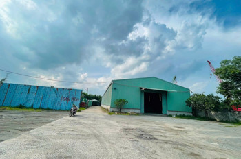 Xt201 Cho Thuê Nhà Xưởng Sản Xuất, Tại Kcn Nhơn Trạch, Thu Hút Linh Hoạt Ngành Nghề