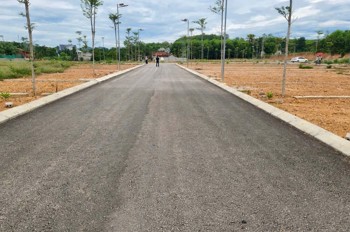 Đất Đẹp - Giá Tốt - Cần Bán Nhanh Lô Đất Khu Công Nghiệp Lam Sơn Sao Vàng, Thanh Hóa