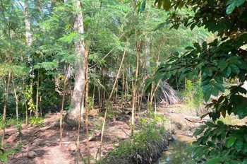 Đầu Tư Sinh Lời - Chính Chủ Cần Bán Đất Vườn Tại 172 Ô4 Khu 1, Thị Trấn Chợ Gạo, Tiền Giang