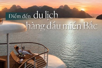 Căn Góc 2Pn Prima Bay: Tài Sản Kép Vừa Nghỉ Dưỡng Vừa Khai Thác Homestay Cực Tốt!