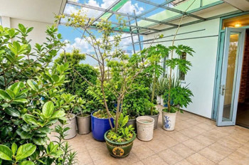 Bán Nhà Biệt Thự - Mặt Tiềm Hẻm 7M, Nguyễn Văn Khối ( Cây Trâm), 16X22m, 5 Tầng, 29,9 Tỷ