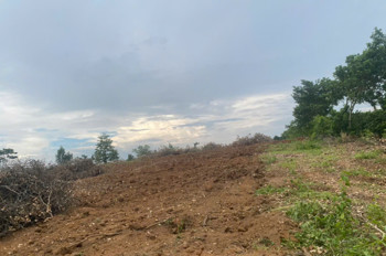 Chính Chủ Bán Đất Bắc Sơn, Đắk Mil, Lâm Đồng - 2,75Ha, Cách Ql14 Chỉ 400M, Có Hồ 2.000M3