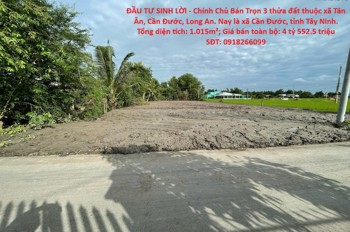 Đầu Tư Sinh Lời - Chính Chủ Bán Trọn 3 Thửa Đất Thuộc Xã Tân Ân, Cần Đước, Long An